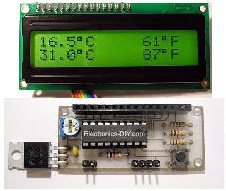 DS18S20 Dual Temperature Meter